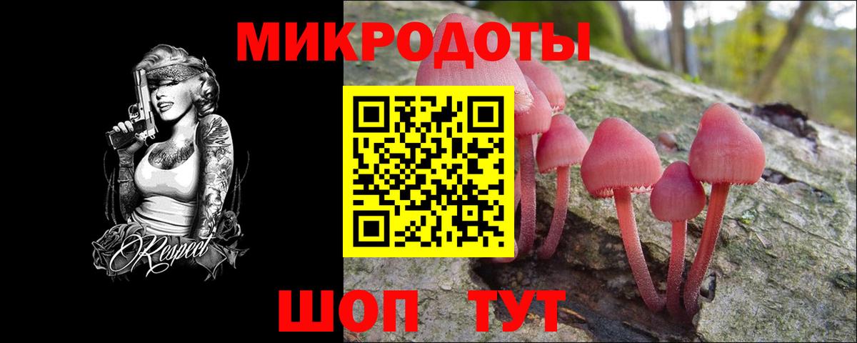 Псилоцибиновые грибы Psilocybine cubensis  Вход с VPN  Сланцы  Галлюциногенные грибы Psilocybine cubensis 